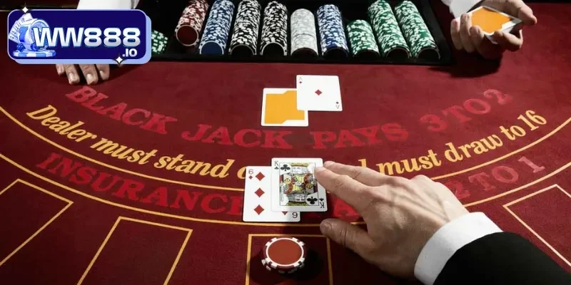 chon-tro-choi-meo-hay-casino