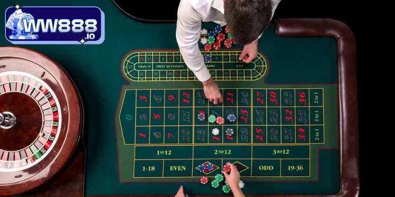 tai-sao-can-nam-meo-hay-casino