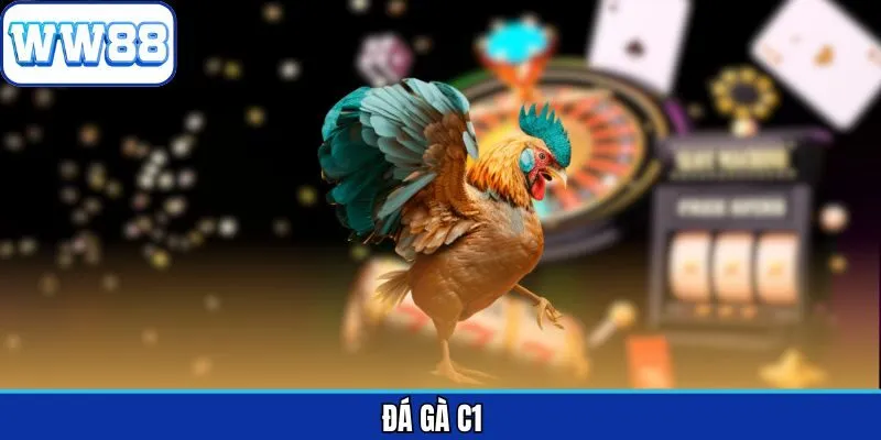 Đá Gà C1 - Khám Phá Hình Thức Cá Cược Kịch Tính Tại WW88