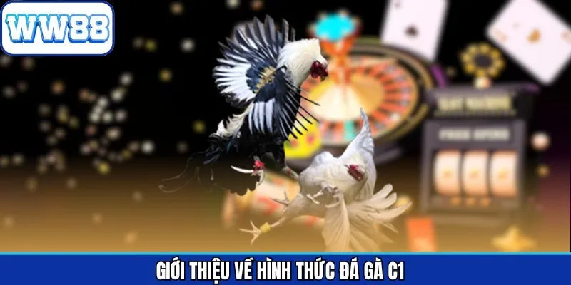 Tổng quan thông tin về loại hình đá kê C1 