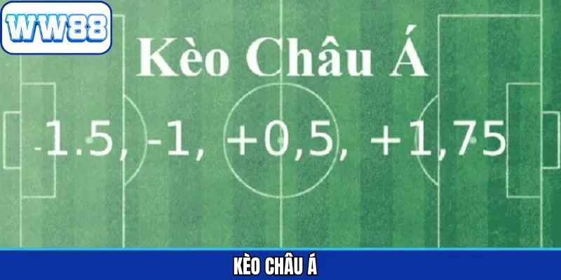 Kèo Châu Á - Dự Đoán Chuẩn Chinh Phục Chiến Thắng Tại WW88