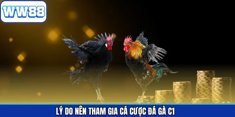 Ưu điểm hấp dẫn khi người dùng tham gia đá gà C1 