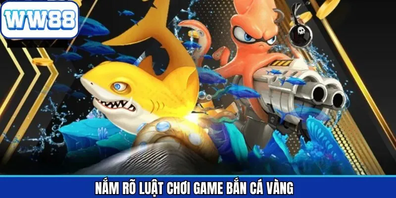 Luật tham gia săn cá vàng hội viên nên nắm