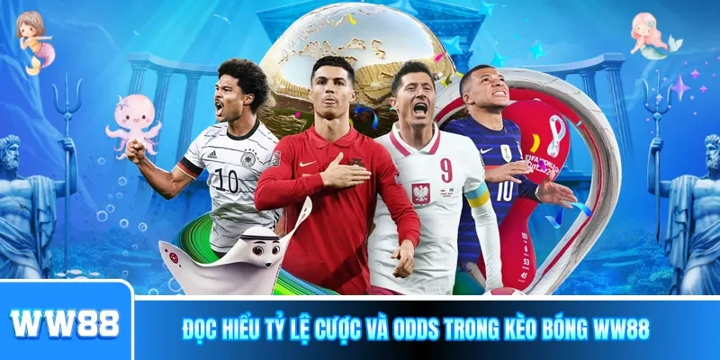 Giải nghĩa ký hiệu đặc biệt trên bảng tỷ lệ cá cược WW88