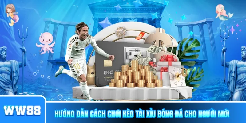 Hướng dẫn cách chơi kèo Tài Xỉu bóng đá cho người mới