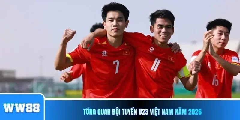  Tổng quan đội tuyển U23 Việt Nam năm 2026